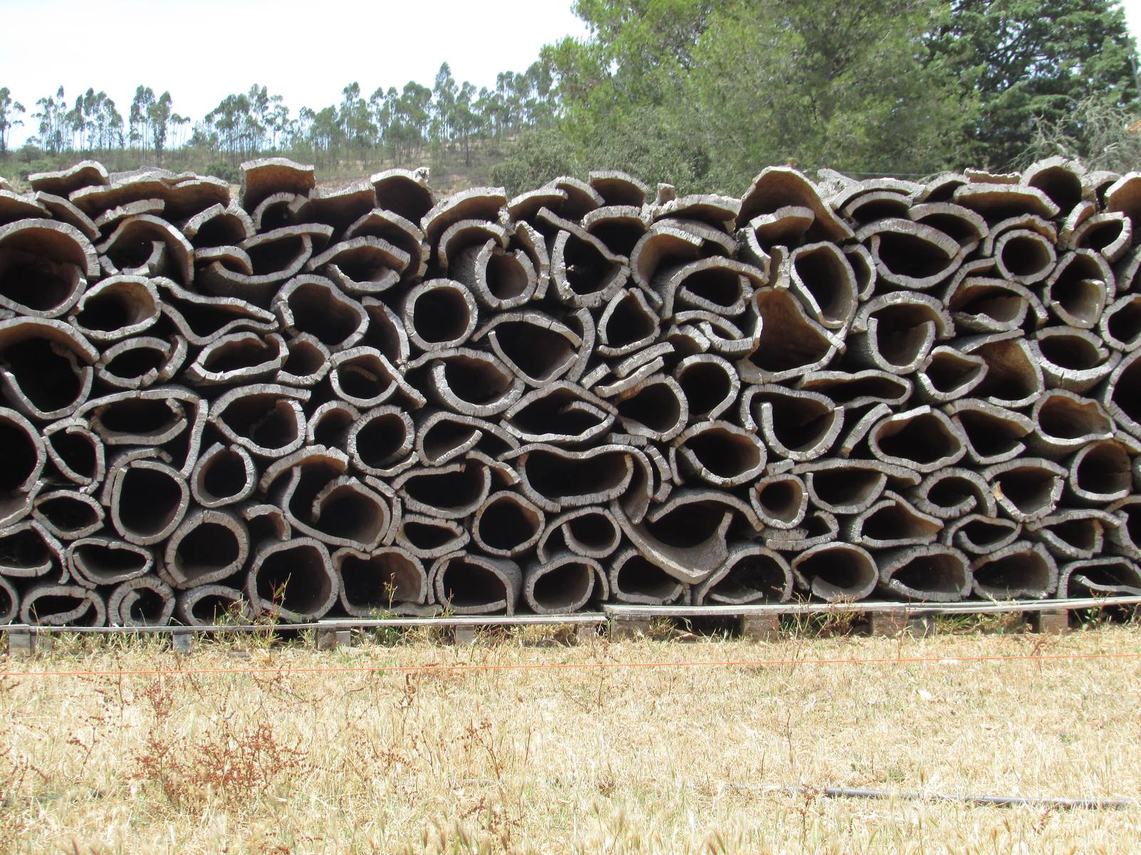 Harvested cork stacked in the Algarve, Portugal. Corticeira Amorim benefited from lower cork raw material consumption prices in the first half of 2026.