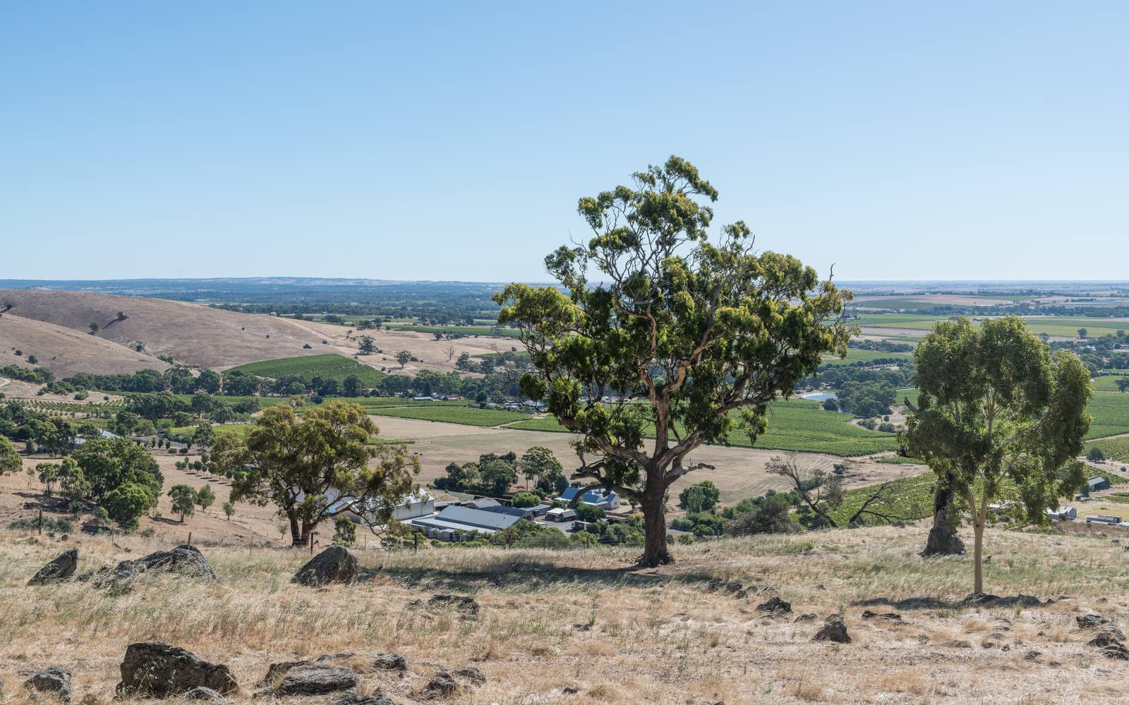 The Barossa Valley near Tanunda, South Australia. Under the Australia-EU free trade deal, Australian wine exported to the EU receives zero tariff treatment on entry into force.