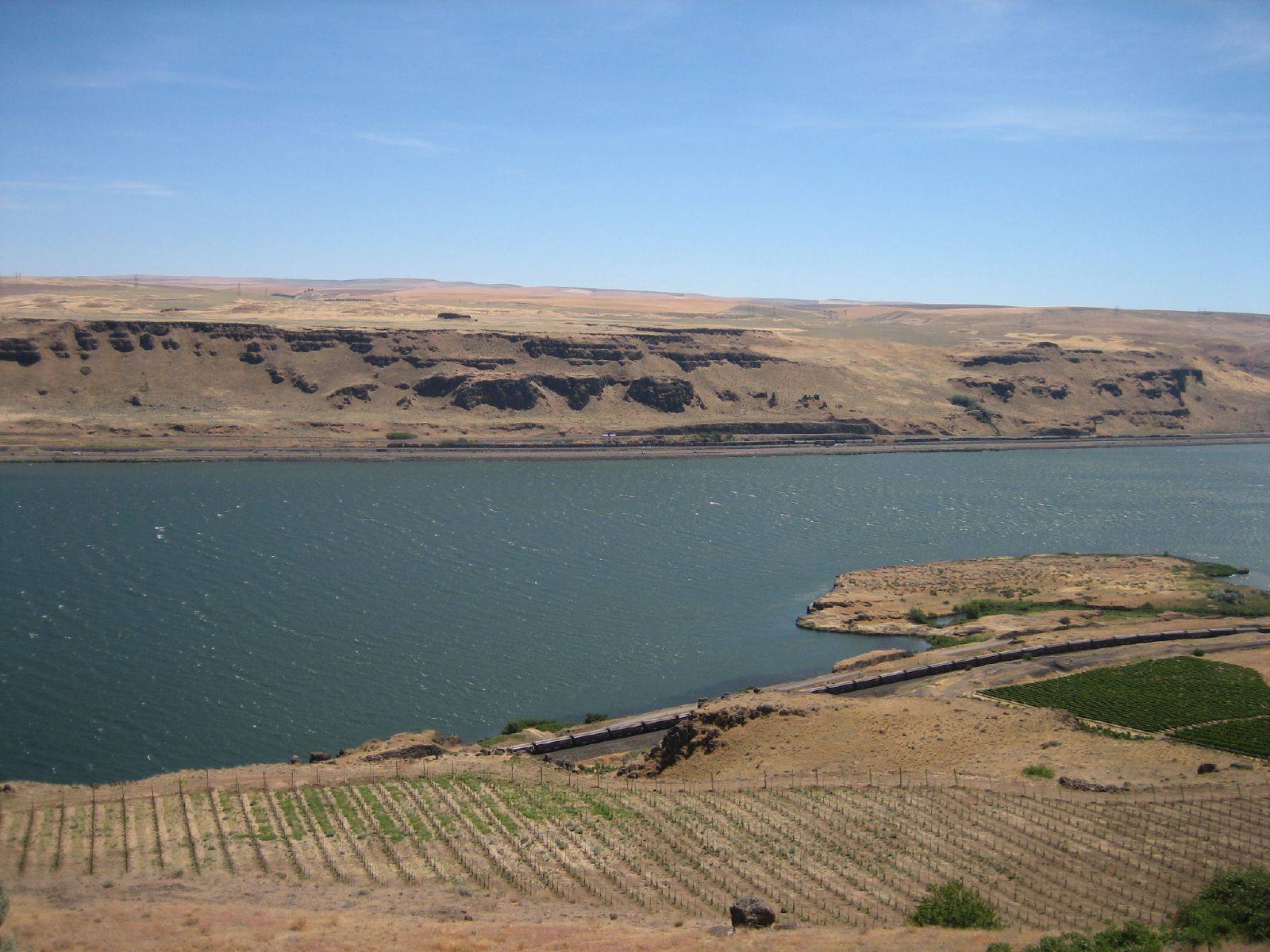 Vineyards along the Columbia River in the Columbia Gorge wine region of Washington State. The new Columbia Hills AVA sits just east of the Columbia Gorge AVA along the river.
