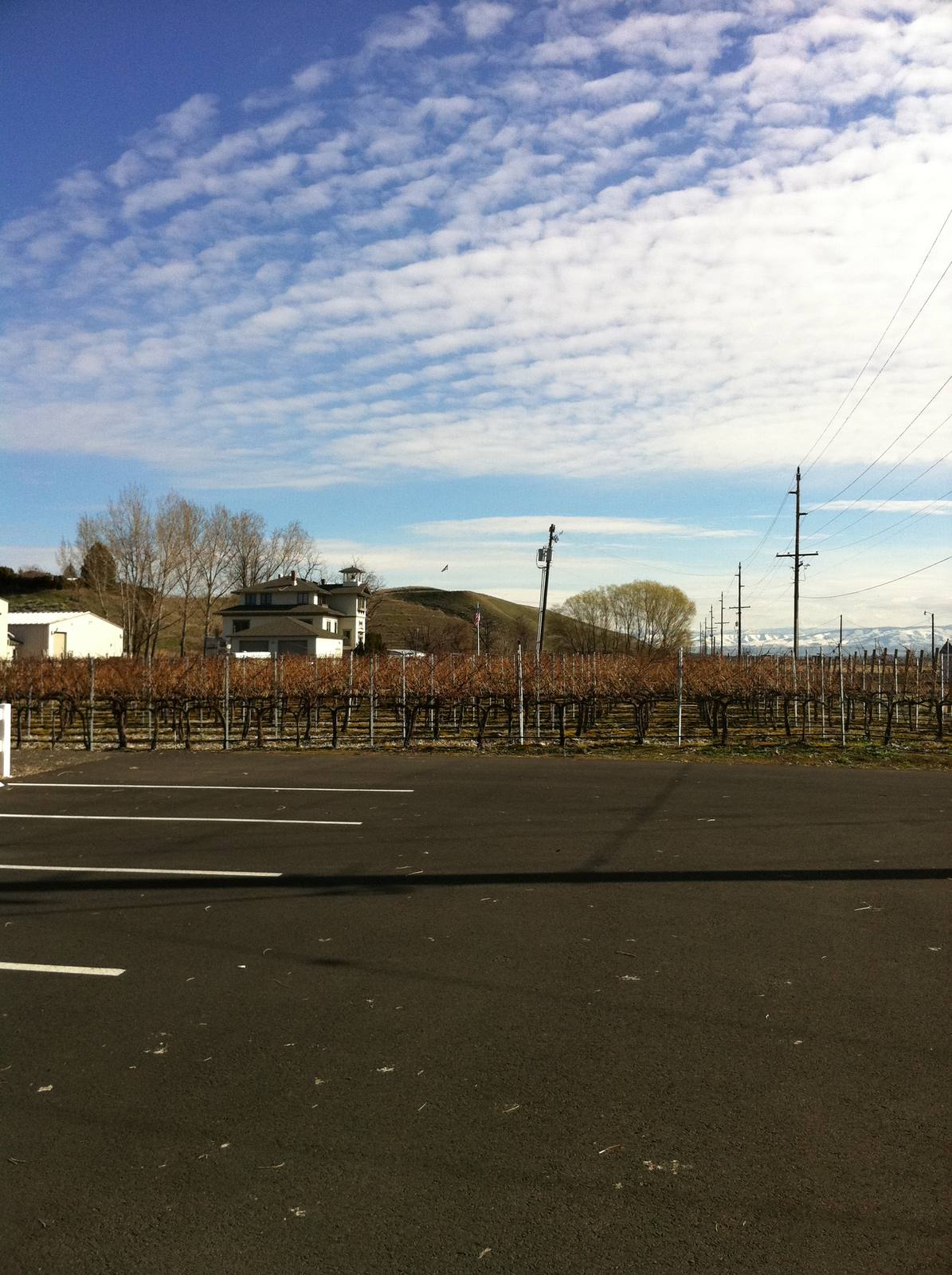 Vineyards in the Walla Walla Valley. Avennia's acquisition of Gramercy Cellars includes the brand, Forgotten Hills Vineyard and Gramercy's interest in Octave Vineyard.