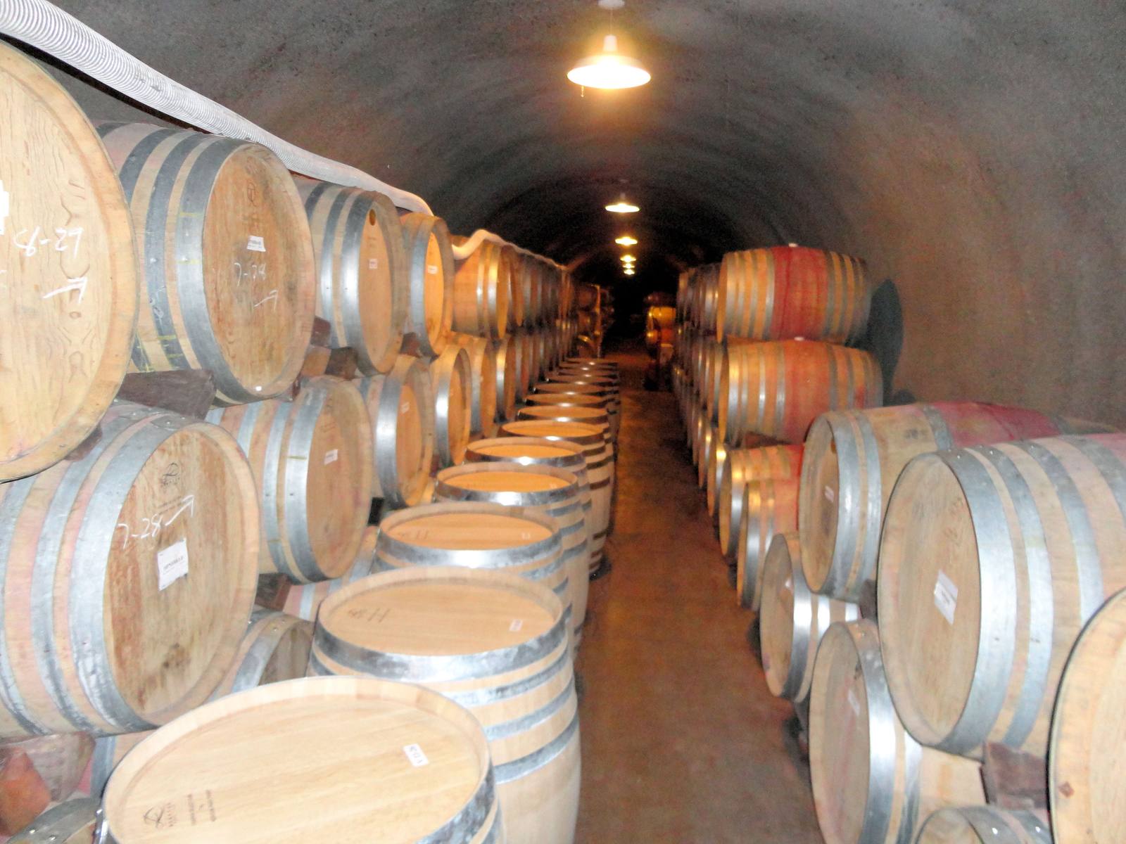 Harvest celebration in Napa Valley. California's 2026 harvest started weeks ahead of schedule, with lighter clusters and smaller berries concentrating flavor.