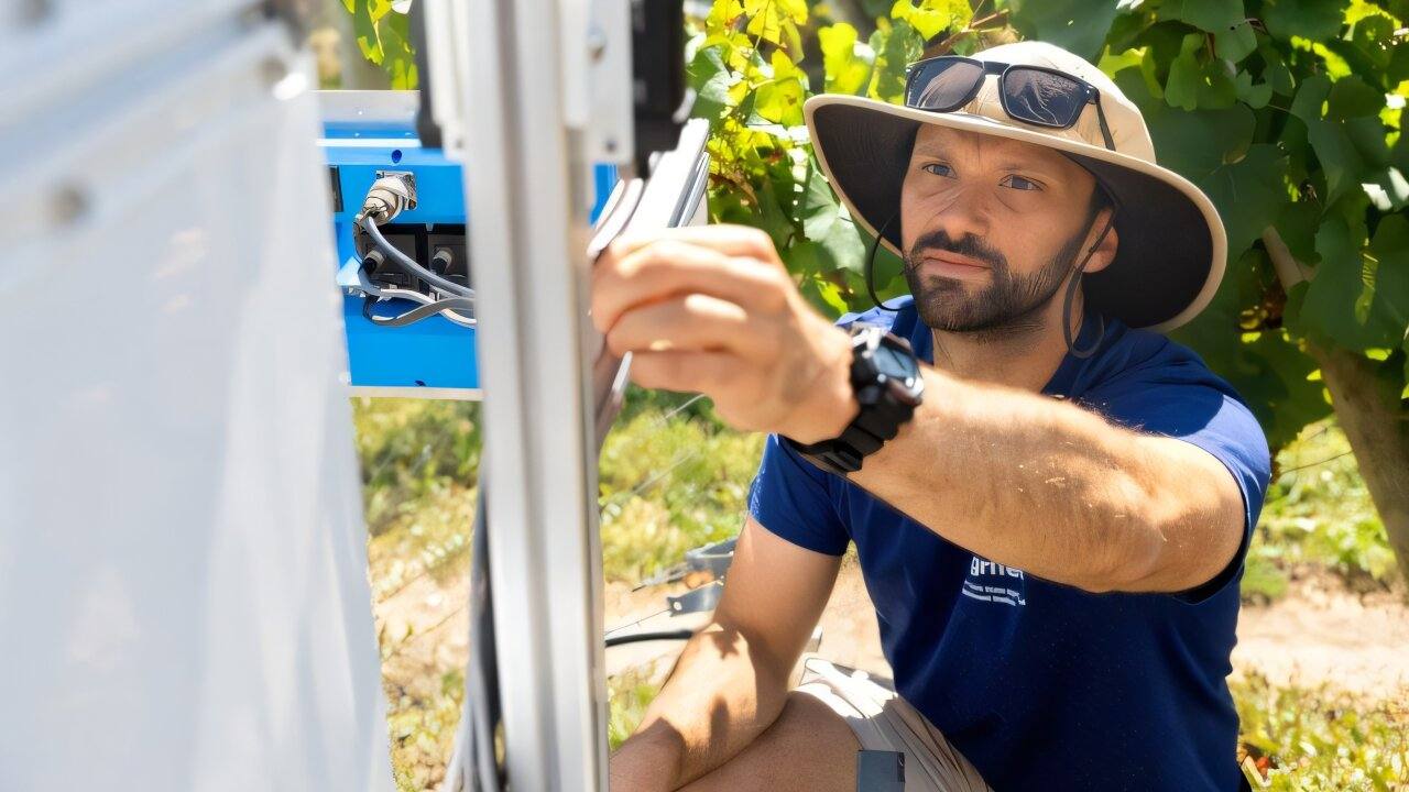 A Cornell researcher adjusts the PhytoPathoBot imaging rig in a vineyard during field trials. The autonomous robot navigates trellised rows and uses AI to segment canopy pixels from disease symptoms, reporting accuracy matching highly trained human scouts.