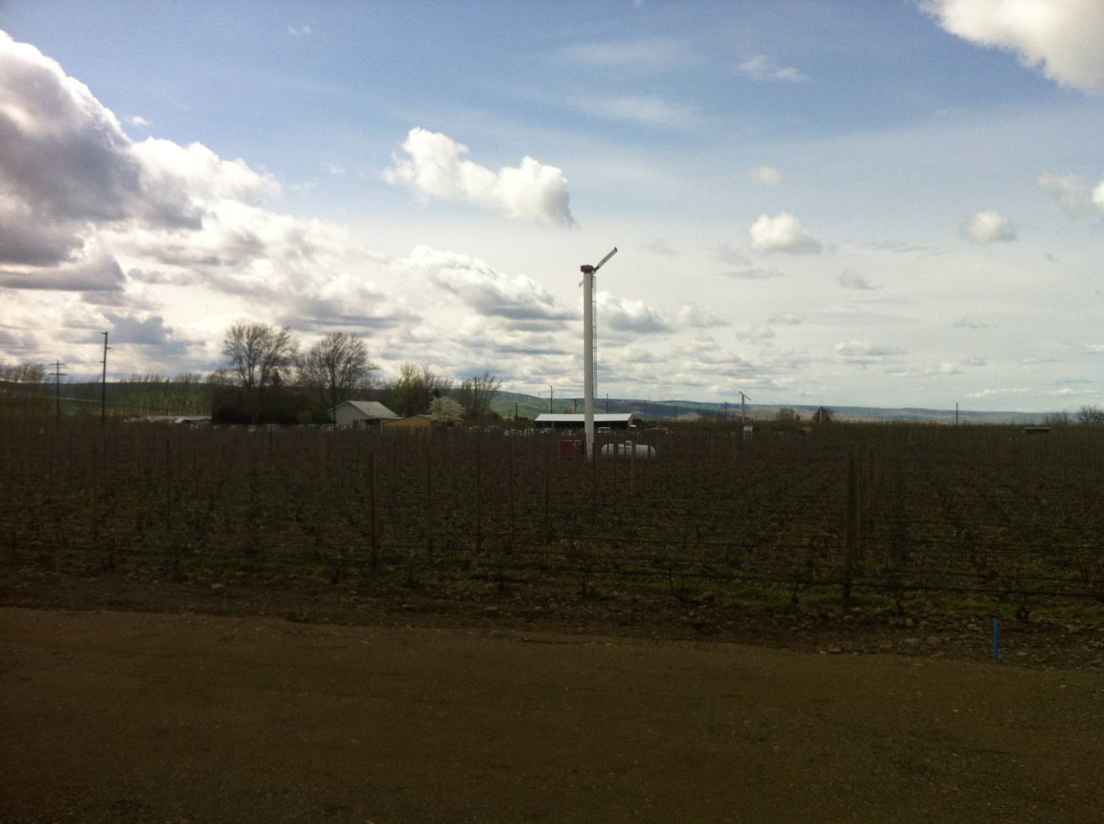 Vineyards in the Walla Walla AVA. Kelsey Itämeri's Itä Wines sources mostly higher-elevation Walla Walla Valley fruit; the Devona and Itä wines will now be made at the same facility.