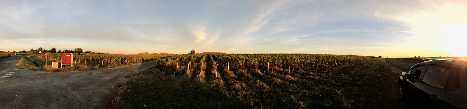 Vineyards near Pauillac in the Medoc, Bordeaux. The Liv-ex 100 gained 0.1 percent in the first half of 2026 while Bordeaux indices lagged the recovery.
