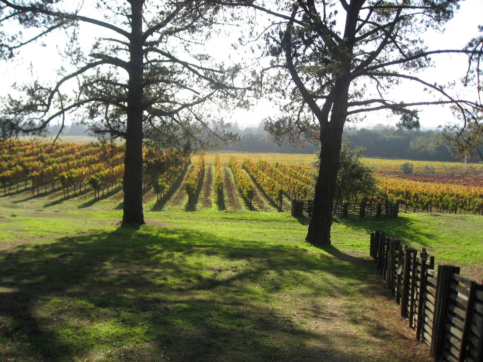 Gundlach Bundschu Winery in Sonoma Valley. The 1858 estate's operating company filed for Chapter 11 on September 23, 2026.