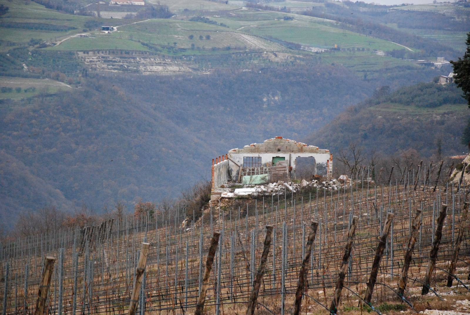 Vineyards in Valpolicella. Around 172,280 quintals of the 2026 crop, about 20 percent, will be placed under storage to protect prices as Italian consortia hold back supply.