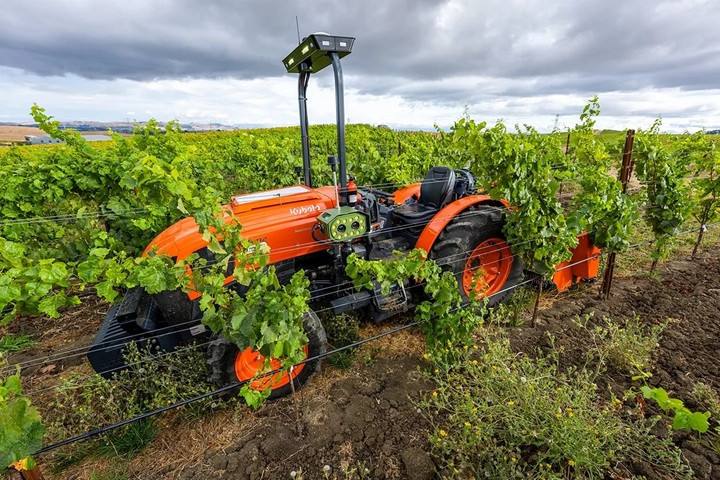 Kubota's M5 Narrow specialty tractor with the factory-integrated autonomous system working a vineyard row. Treasury Wine Estates is running four units in North Napa Valley for mowing and under-vine cultivation.