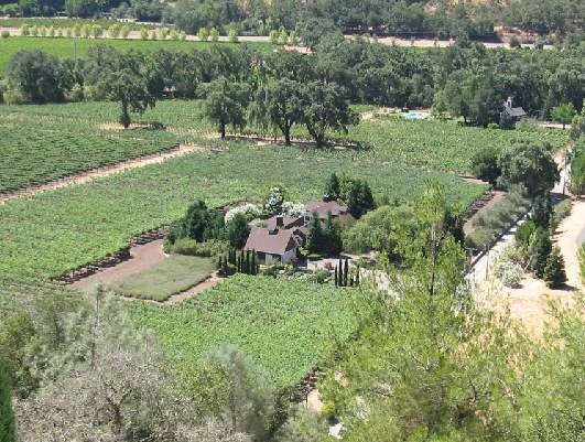 Napa Valley vineyards from the Sterling Vineyards overlook. Napa Green member growers have eliminated glyphosate across 6,000 certified acres.