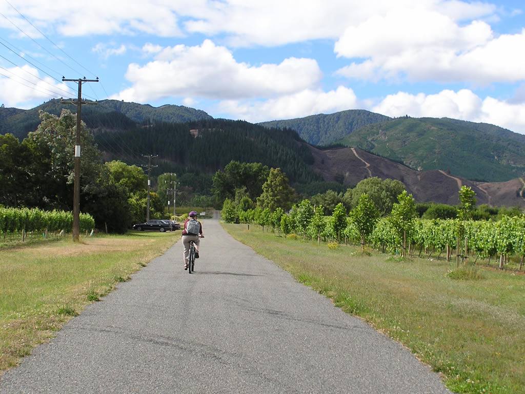 A country road and vineyard in Renwick, in the heart of Marlborough, the engine room of New Zealand's $2.108 billion export trade.