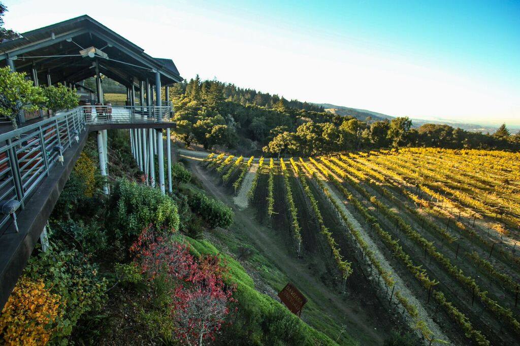 The Pavilion deck at Thomas Fogarty Winery, where pizza from Daniel's Kitchen is served alongside estate tastings.